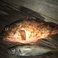 お客様が釣った魚や買ってきた魚を当店へ持ち込むことも可能です！新鮮な魚をその場で料理に仕上げますので、釣り好きの方には特におすすめのサービスです。調理方法のご希望も承りますので、お気軽にお申し付けください。