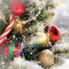 桜木町 焼鳥 感呼鶏 yakitori kankodoriのコース写真