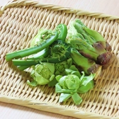 旬の野菜を用いた料理こごみ・たらのめ・ふきのとう　