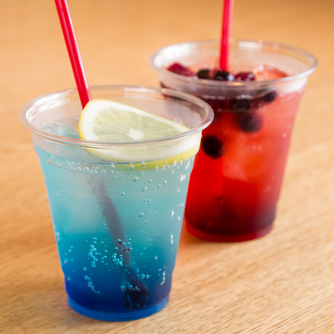 Cat&Animal Cafe Noah s Ark mAYA[N sّOX