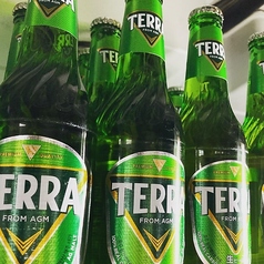 TERRAビール