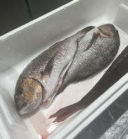 京都市場からの鮮魚