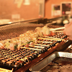 【定番から希少部位まで】産地直送の丹波地鶏が味わえる