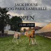 DOG PARK LAMIUELLE hbO p[N ~G ʐ^