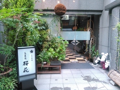 高麗橋 桜花
