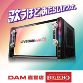 ビッグエコーはDAM直営店なので音響には自信あり♪DAM派ならビッグエコーへ！！