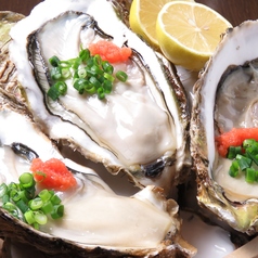 目利き超人 魚´Sまん特集写真1