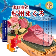 熊野灘産！紀州まぐろ祭り開催中♪の写真