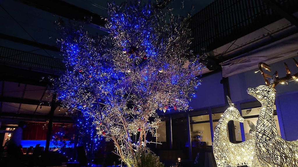 イルミネーション点灯の時期は素敵な食事の時間に温かい灯りを・・・