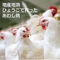 地産地消のお店として、鶏肉もやっぱり兵庫県産ここだわります！自然豊かな淡路島で育ったあわじ鶏を串なし焼鳥、鉄板焼、チーズダッカルビなど様々な調理法で試してみてください！