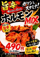ビールとの相性抜群◎旨辛ホルモンMIX！