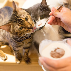 動物たちの健康のため無添加手作り「動物たちのおやつ」