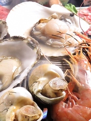 北海道居酒屋 髭 ひげのコース写真