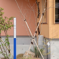 自然豊かな閑静な住宅街にたたずむ「創作料理店」