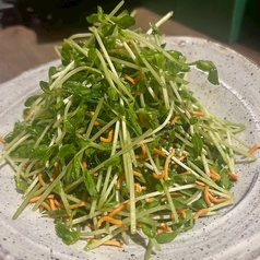 《伊達》豆苗サラダ