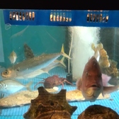 居酒屋はせ川 岡崎本店の雰囲気3