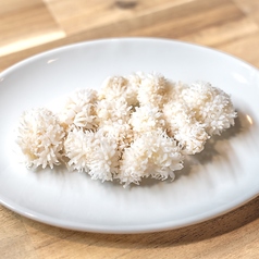 ウルテ（気管）