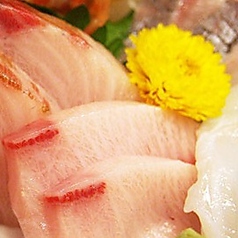 朝獲れ地魚単品