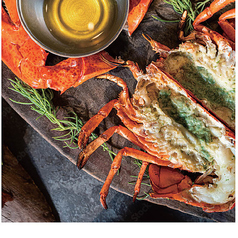 イタリアン居酒屋チャンチャーレのコース写真