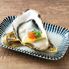 【宮城県石巻湾産】大粒活〆牡蠣