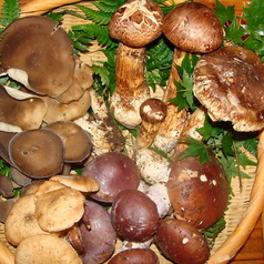 香り豊かな秋きのこ、旬の旨味をご堪能ください。の写真