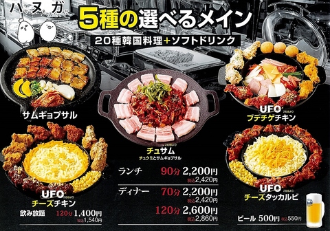 ヘルシー韓友家 ハヌガ(新大久保/韓国料理)＜ネット予約可