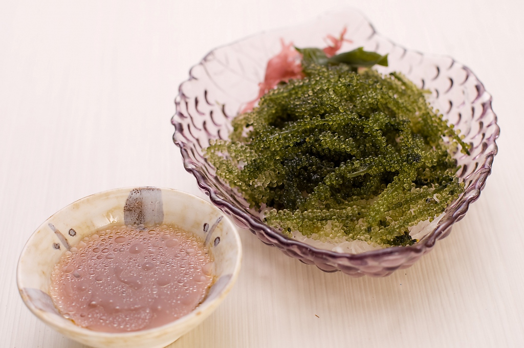 ���S���C�u���΂��̉� �C�� �݂���