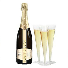 【ボトル】CHANDON BRUT ーシャンドンブリュットー