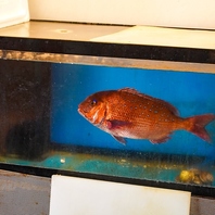 店内水槽から揚げたてを捌く。鮮度抜群の活魚料理に舌鼓