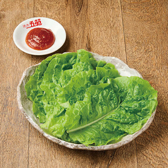 ちしゃ菜 5枚