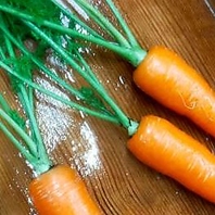 圧倒的な鮮度と味の濃さ