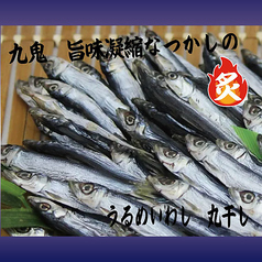 うるめいわし 丸干し