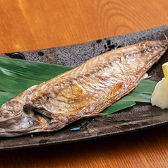石巻直送 最上級金華鯖ハーフ