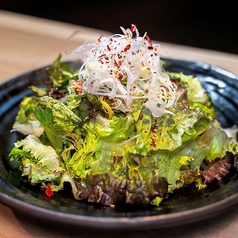 チョレギサラダ