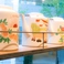紅虎ならではの逸品はもちろん、中国厨師が造る本格中華料理を気軽にお楽しみ頂けます。