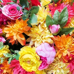 Grill de Viento グリルド ビエント 新宿店特集写真1