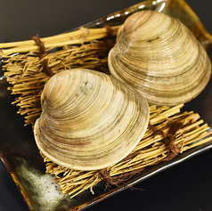 ・ホンビノス貝