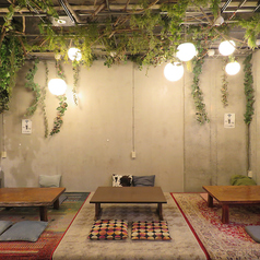 【フォレストステージ】流木と緑と癒しの照明の癒し空間♪