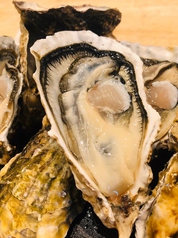 かき焼 ひら井 徳島駅 居酒屋 ホットペッパーグルメ