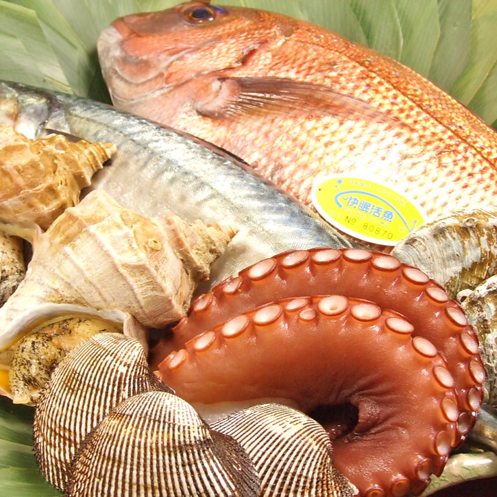 都内でも扱っているお店の少ない『快眠活魚』。眠った魚を生きたまま仕入れているので鮮度抜群！