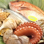 都内でも扱っているお店の少ない『快眠活魚』。眠った魚を生きたまま仕入れているので鮮度抜群！