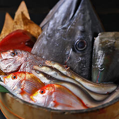 海ごこちの特集写真