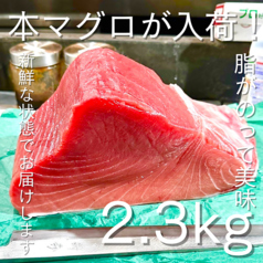 マグロ刺し盛り