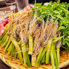焼き鳥と鶏料理 色鶏々の特集写真