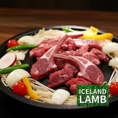 極上ラム肉のジンギスカン コルデロのコース写真