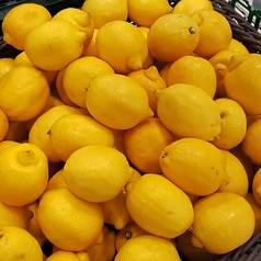 \大好評の6種類のレモンサワー/