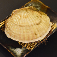 ・漁師サイズ殻付きホタテ