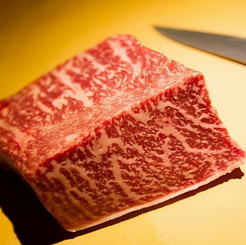 AJ~REV Akamiya COWSI tgX