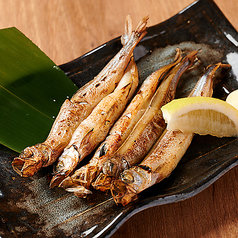 ぷちぷち食感 子持ちししゃも