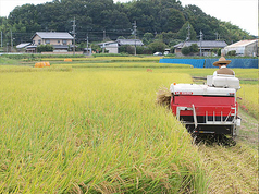 農家直送地元野菜使用